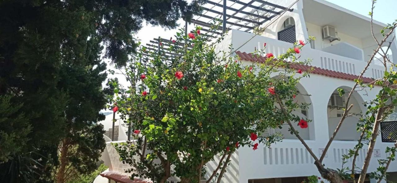 Afroditi Hotel Plakias Exteriör bild